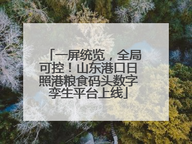 一屏统览，全局可控！山东港口日照港粮食码头数字孪生平台上线