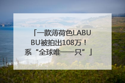 一款薄荷色LABUBU被拍出108万！系“全球唯一一只”