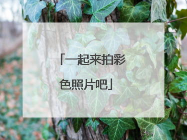 一起来拍彩色照片吧