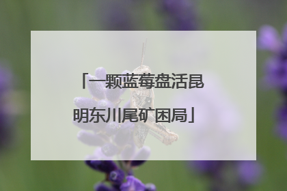 一颗蓝莓盘活昆明东川尾矿困局