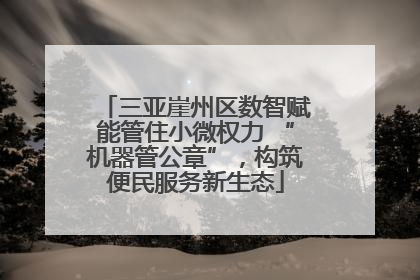三亚崖州区数智赋能管住小微权力 “机器管公章”，构筑便民服务新生态