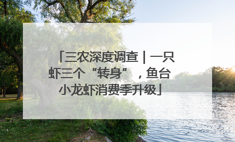 三农深度调查｜一只虾三个“转身”，鱼台小龙虾消费季升级