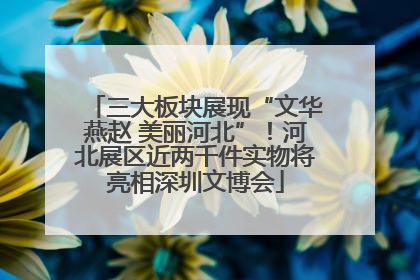 三大板块展现“文华燕赵 美丽河北”！河北展区近两千件实物将亮相深圳文博会