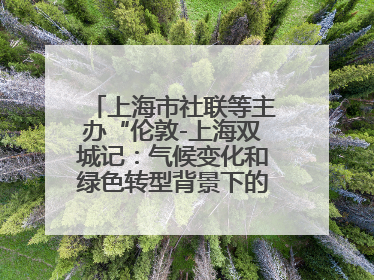 上海市社联等主办“伦敦-上海双城记：气候变化和绿色转型背景下的考古、历史和文化遗产”学术对话