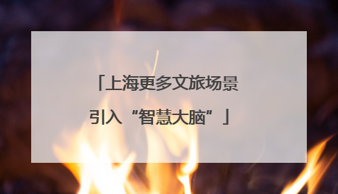 上海更多文旅场景引入“智慧大脑”