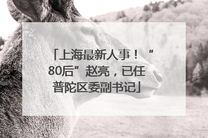 上海最新人事！“80后”赵亮，已任普陀区委副书记