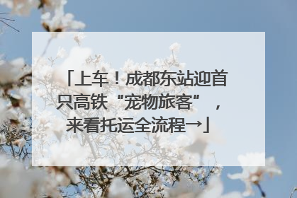 上车！成都东站迎首只高铁“宠物旅客”，来看托运全流程→