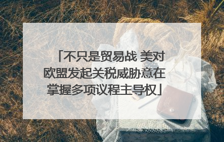 不只是贸易战 美对欧盟发起关税威胁意在掌握多项议程主导权