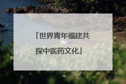世界青年福建共探中医药文化