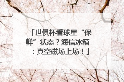 世俱杯看球星“保鲜”状态？海信冰箱：真空磁场上场！