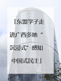 东盟学子走进广西多地“沉浸式”感知中国式民主