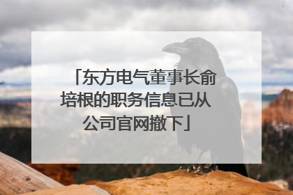 东方电气董事长俞培根的职务信息已从公司官网撤下
