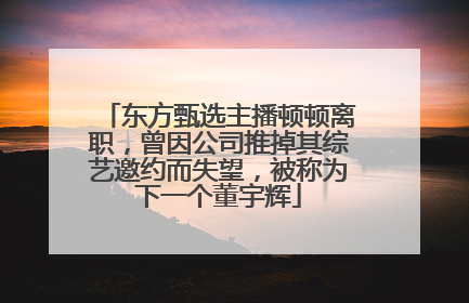 东方甄选主播顿顿离职，曾因公司推掉其综艺邀约而失望，被称为下一个董宇辉