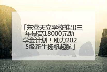 东营天立学校推出三年最高18000元助学金计划！助力2025级新生扬帆起航