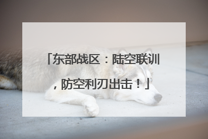 东部战区：陆空联训，防空利刃出击！