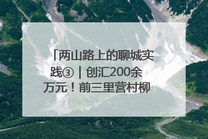 两山路上的聊城实践③｜创汇200余万元！前三里营村柳篱笆畅销西班牙