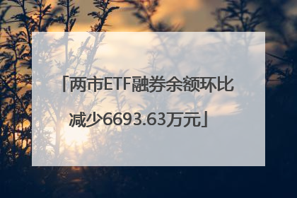 两市ETF融券余额环比减少6693.63万元