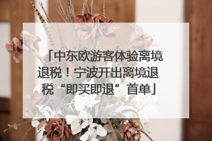 中东欧游客体验离境退税！宁波开出离境退税“即买即退”首单