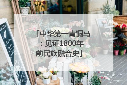 中华第一青铜马：见证1800年前民族融合史
