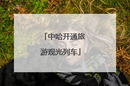 中哈开通旅游观光列车