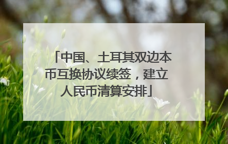中国、土耳其双边本币互换协议续签，建立人民币清算安排