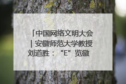 中国网络文明大会｜安徽师范大学教授刘道胜：“E”览徽风，构筑中华民族共有精神家园