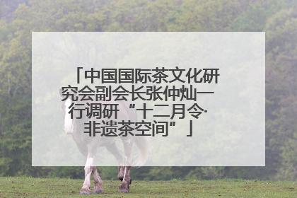 中国国际茶文化研究会副会长张仲灿一行调研“十二月令·非遗茶空间”