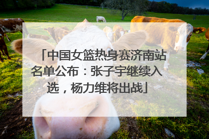中国女篮热身赛济南站名单公布：张子宇继续入选，杨力维将出战