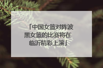 中国女篮对阵波黑女篮的比赛将在临沂精彩上演