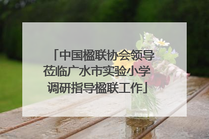 中国楹联协会领导莅临广水市实验小学调研指导楹联工作