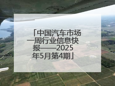 中国汽车市场一周行业信息快报——2025年5月第4期