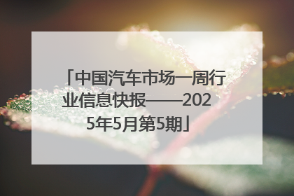 中国汽车市场一周行业信息快报——2025年5月第5期