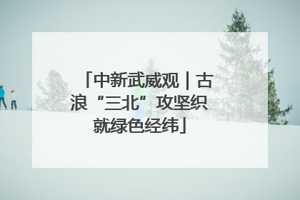 中新武威观｜古浪“三北”攻坚织就绿色经纬