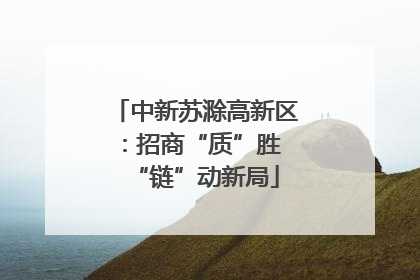 中新苏滁高新区：招商“质”胜 “链”动新局