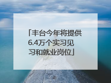 丰台今年将提供6.4万个实习见习和就业岗位