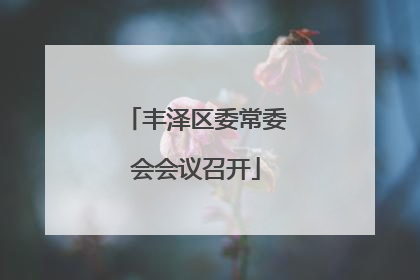 丰泽区委常委会会议召开