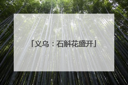 义乌：石斛花盛开