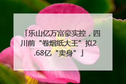 乐山亿万富豪实控，四川前“卷烟纸大王”拟2.68亿“卖身”