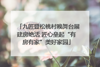 九匠登松桃村晚舞台展建房绝活 匠心垒起“有房有家”美好家园