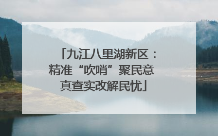 九江八里湖新区：精准“吹哨”聚民意 真查实改解民忧