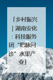 乡村振兴｜湖南安化：科技服务团“把脉问诊”水果产业