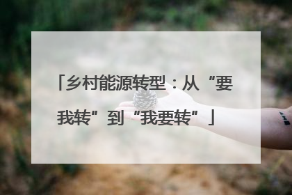 乡村能源转型：从“要我转”到“我要转”