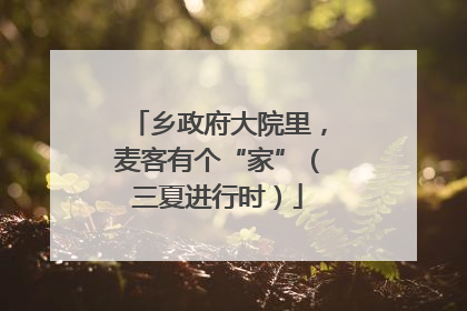 乡政府大院里，麦客有个“家”（三夏进行时）