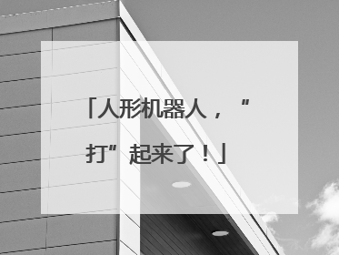 人形机器人，“打”起来了！