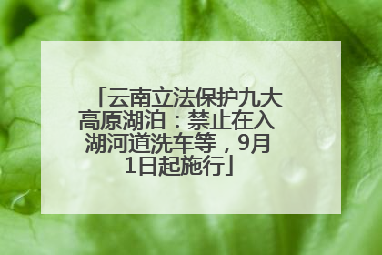 云南立法保护九大高原湖泊：禁止在入湖河道洗车等，9月1日起施行