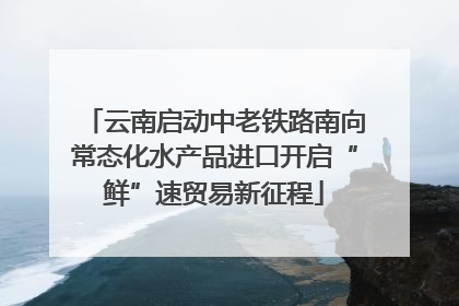 云南启动中老铁路南向常态化水产品进口开启“鲜”速贸易新征程