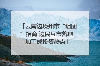 云南边境州市“组团”招商 边民互市落地加工成投资热点