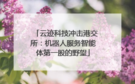 云迹科技冲击港交所：机器人服务智能体第一股的野望