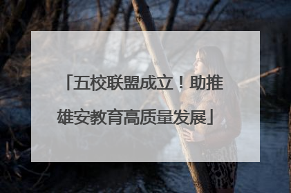 五校联盟成立！助推雄安教育高质量发展