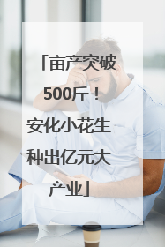亩产突破500斤！安化小花生种出亿元大产业